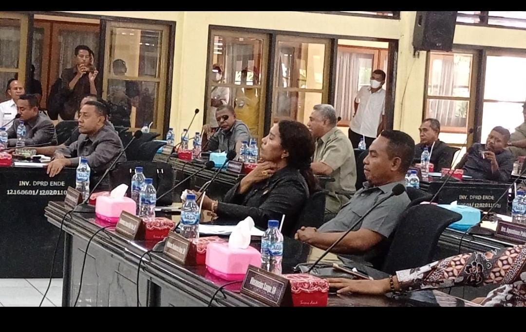 Pinjaman Daerah Tersandung Rekomendasi DPRD, Orba K Ima : Pemerintah Jangan Jadikan DPRD Kotak Sampah Persoalan