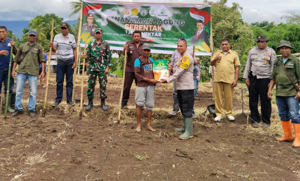 Polsek Wolowaru Tanam Jagung Pada Lahan Seluas 1 Hektar,  Bentuk Dukungan Menyukseskan Program Swasembada Pangan 2025